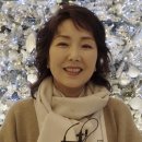 이휘향 카카오 검색결과