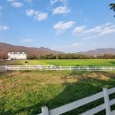 용인목장 이미지