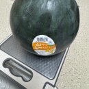 (주)무한씨,엔,디 | 6월 일상 (2)