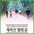 계족산 황톳길 이미지