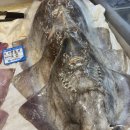 일신수산 | 노량진수산시장홍어 노량진홍어 추천 사장님 친절한 곳 일신홍어 전국 택배 배달 가능