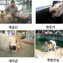 공감 이미지