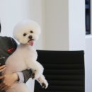 제일 그루밍샵 이미지