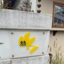 크레인PC 강릉교동점 | [강릉교동일식당] 강릉 킨조 라멘 후기 🍜 토리파이탄라멘 &amp; 호르몬라멘 리뷰