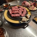 다옴공구 | 몬트리올 라이프 - 해피뉴이어