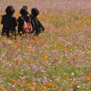 농민농장 이미지