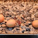 지에스25 세브란스병원점 이미지