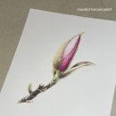 당신의 꽃그림, 보태니컬 아트 이미지