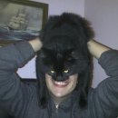 고양이 모자 이미지