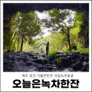 표선충전소 | 제주 오늘은 녹차한잔 동굴 제주도 표선 가볼만한곳