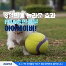 365건강온누리약국 이미지