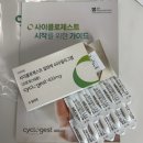 영진골프연습장 | [시험관시작.4]난자채취 후기