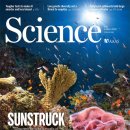 산호유통 이미지