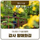 공주 갑사 황매화길, 이너피스가 필요할때, 꼭 가봐야 할 힐링 사찰