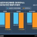 반도체 영업기밀까지 달라는 미국…'전문가들이 본 삼성·SK 해법은' 이미지