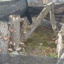 백두농원 이미지