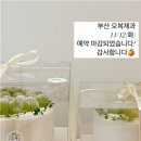 오복제과