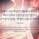 오늘의 &#39;영어성경 사진&#39;(642강) “나를 여러 민족의 으뜸으로 삼으신 하나님”(시편 18편 43절) 이미지