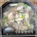 강북 수유맛집 수유닭한마리 수유동본점 내돈내산 후기