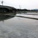 서해명태식당 이미지