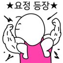 렌탈요정
