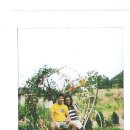 달아펜션 이미지