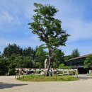 수천경로당 | 부산 홍법사 템플스테이 추천 사찰 국내 최대 좌불상 연꽃 명소 부산 가볼만한곳