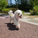 텃밭약국 이미지