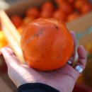 횡천공설시장(횡천시장) 이미지