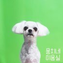 뭉치네 미용실 이미지