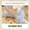 토끼사육장 인근(배봉산) | 서울 홍대실내동물원 테이블에이 아이랑 신촌데이트 이색동물 토끼 라쿤 고양이카페 후기