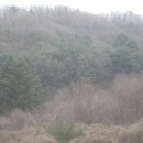 퇴촌면-9 이미지