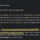 보다보면 정말 화딱지나는 강유미 렉카레기 RP 이미지