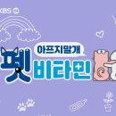 더펫 이미지
