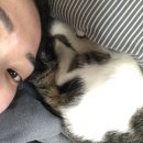 문재엄 헬스 이미지