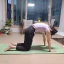 요가2.(오후반) 이미지
