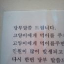 잘난 인간과 힘없는 어미 길고양이의 힘겨루기 이미지