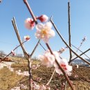 화원삼보정비검사소 이미지