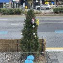 유천큰사랑약국 | 2박 3일 강릉여행 근데 이제 60+@ 만원을 곁들인....