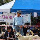 화수초등학교 이미지