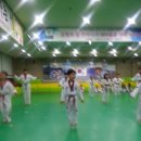 힘찬용인대 태권도장 이미지