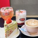 초이스PC방 | 수원역디저트카페 케이크맛집 퀸트 Queent