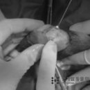 한가람동물의료센터 이미지