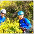 시흥대교 이미지