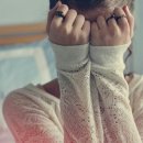 고양이 기숙사 이미지