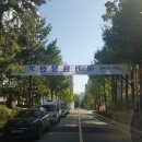 명품태권도 이미지