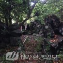 성읍1리 이미지