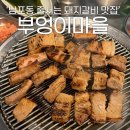 늘봄소와돼지마을 | 부엉이마을| 부산 남포동 맛집 고기집 부평동 돼지갈비 후기