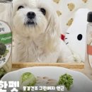 건강한펫 네이버블로그