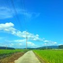 삼현농장 이미지